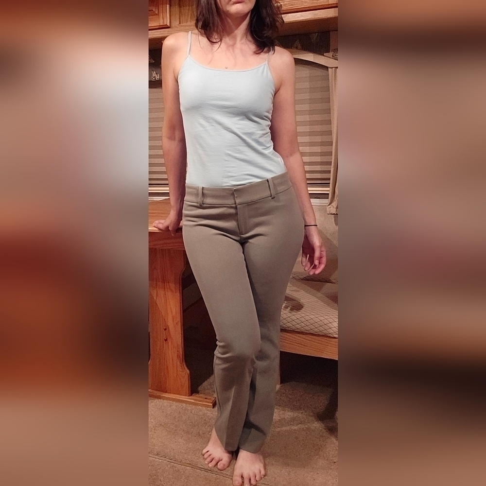 Ann Taylor Moss Gray Trousers sz 6 Petite